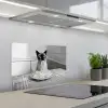 Kat - Siamees - Zwart Wit - Schattig - Dieren keuken achterwand spatscherm klein -3d_schuin