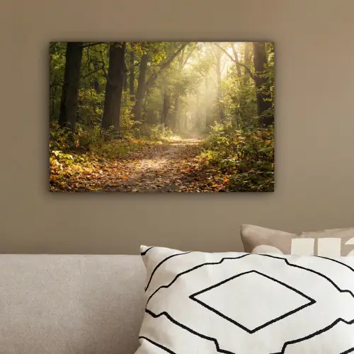 Zonlicht - Bospad - Bomen canvas 2cm klein -sfeer3