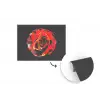 Bloem - Roos - Rood - Zwart fotobehang vinyl groot -3d