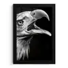 Adelaar - Portret - Roofvogels - Zwart - Wit - Vogel fotolijst zwart zonder passe partout klein -3d