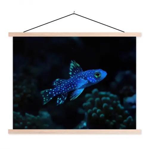 Vis - Stippen - Koraal - Blauw textielposter latten blank klein -3d