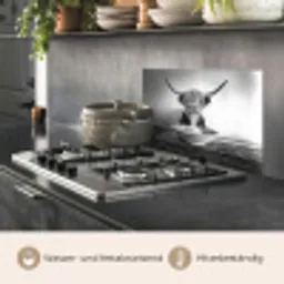 Schotse Hooglander - Spaghetti - Dieren - Zwart wit keuken achterwand spatscherm klein -usp_DE