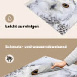Sneeuwuil - Oog - Wildlife - Wit Inductie beschemer met haakjes klein -ky-schoon-de