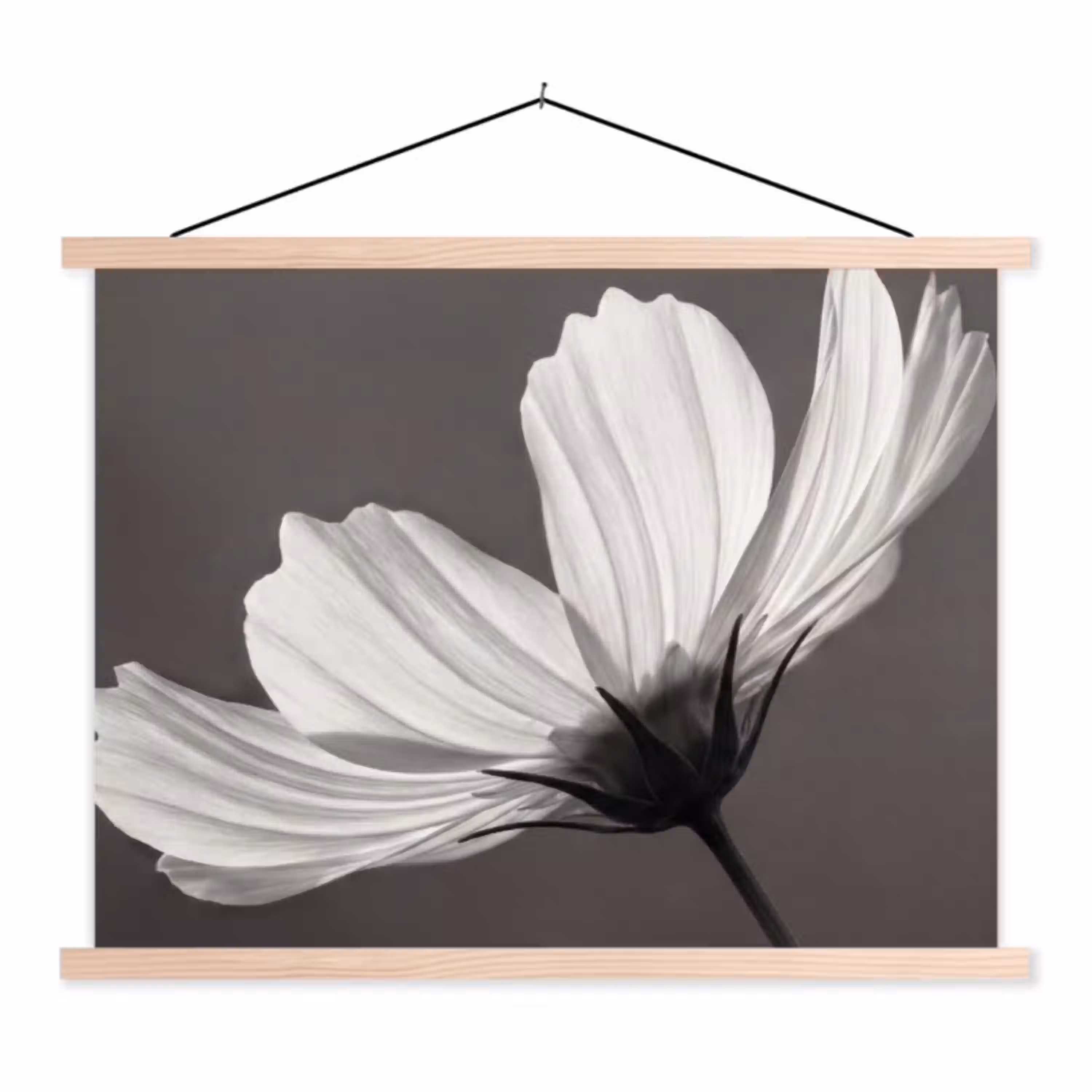 Bloem - Minimalistisch - Zwart - Wit textielposter latten blank klein -3d
