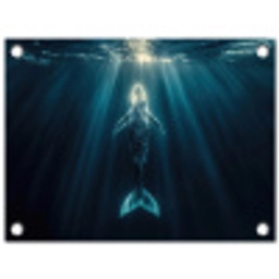 Walvis - Water - Zonnestralen - Blauw tuinposter los doek klein -3d