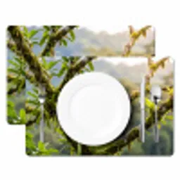 Toekan - Jungle - Natuur - Kleurrijk Placemat vinyl groot -zzsfeer2_Kitchenyeah-website