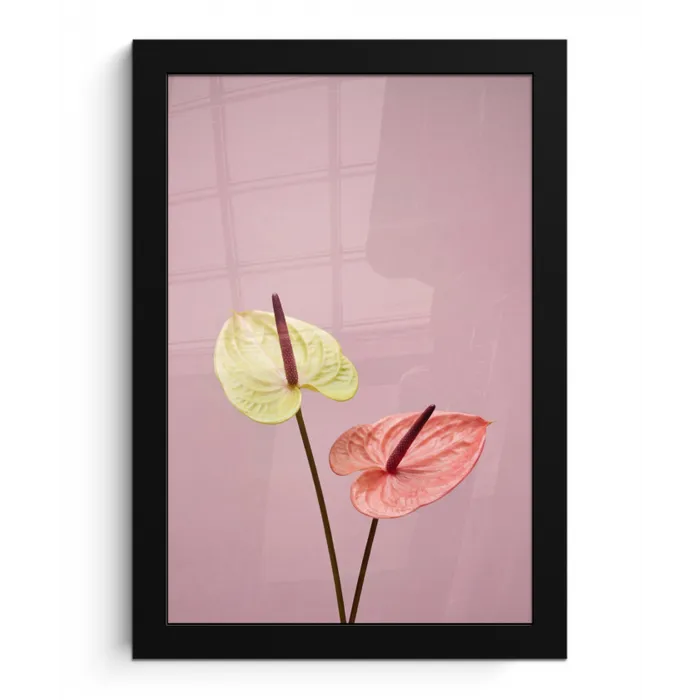 Bloemen - Anthuriums - Geel - Roze fotolijst zwart zonder passe partout klein -3d