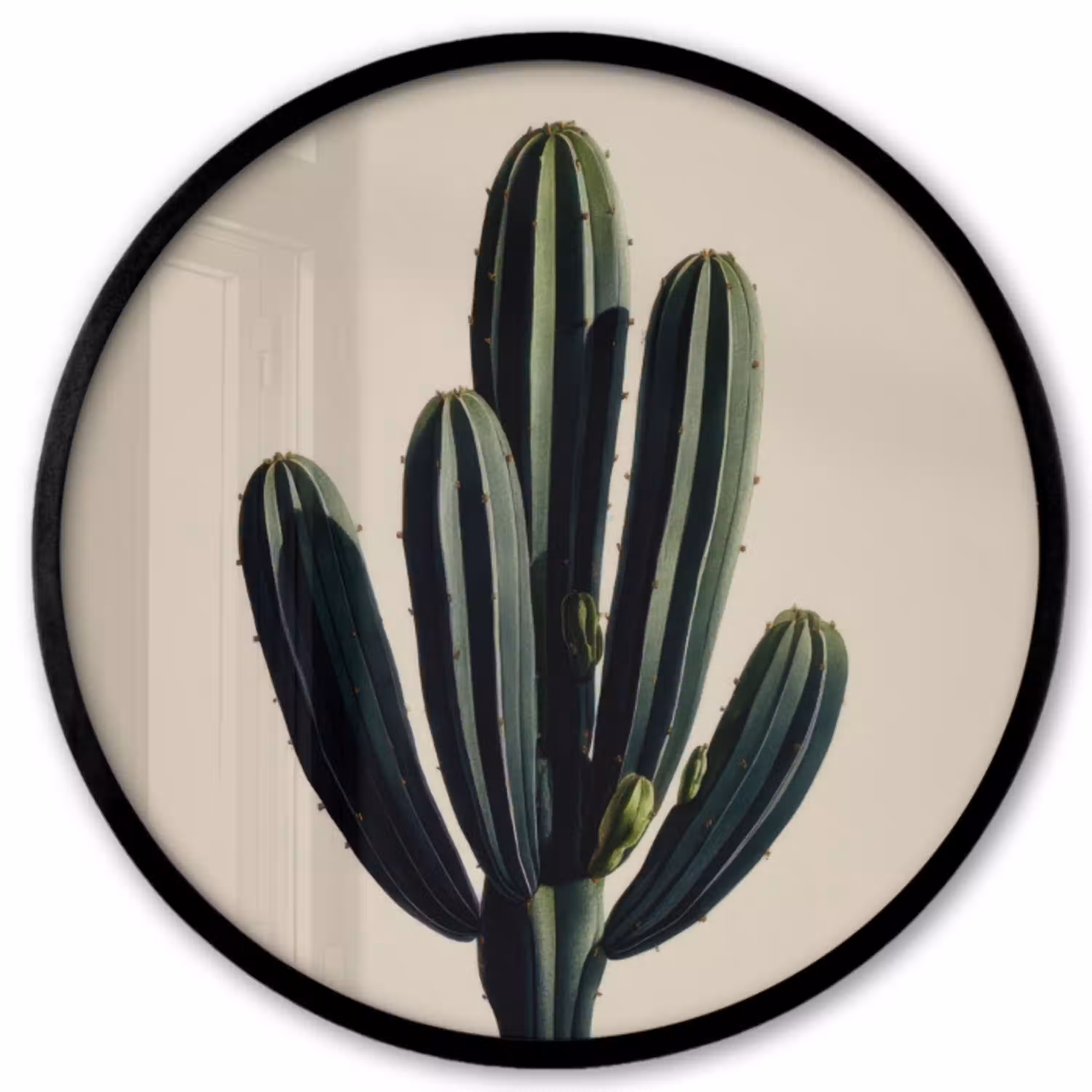 Cactus - Subtiel - Groen Fotolijst rond zonder passe partout klein -3d