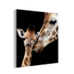 Giraffe - Dieren - Zwart - Portret - Dieren aluminium wit klein -3d