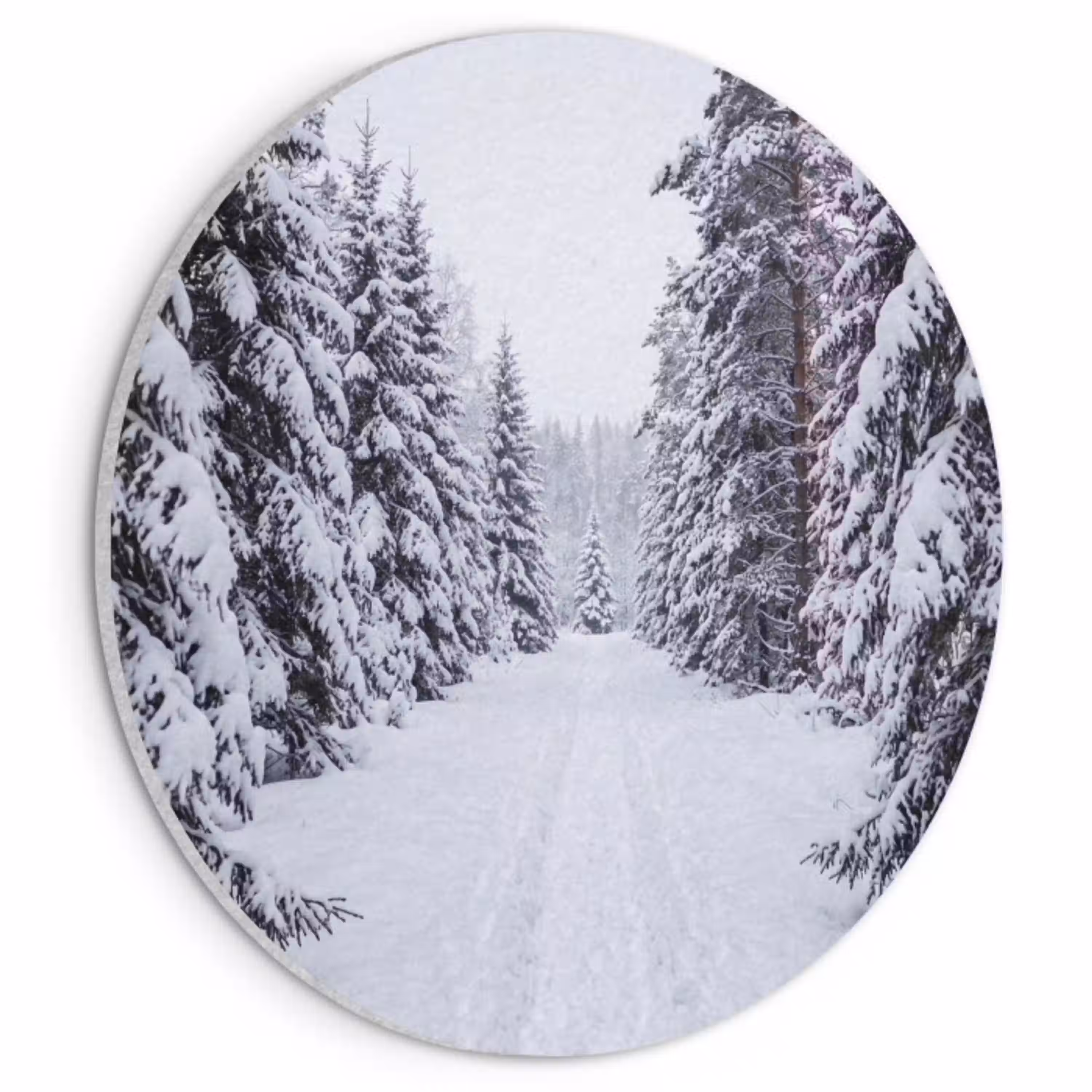 Bos - Winter - Sneeuw - Pad - Natuur Akoestische PET Vilt - Rond klein -3d