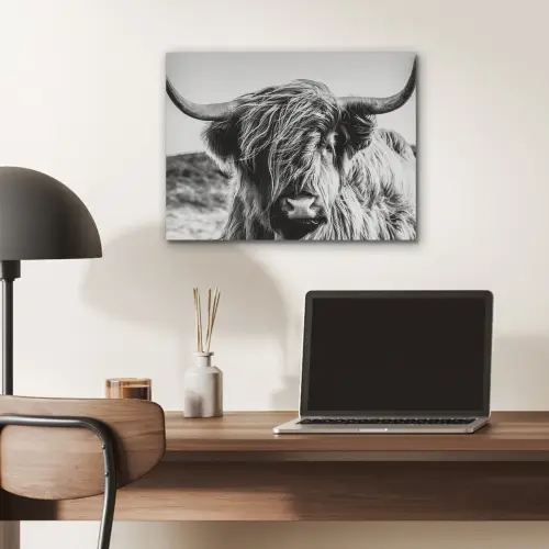 Schotse hooglander - Close up - Horens - Vacht - Zwart Wit PET vilt klein -sfeer5
