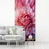 Dahlia - Bloem - Close up - Roze fotobehang vinyl groot -woonkamer