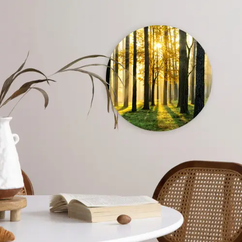 Bos - Zon - Bomen - Gras - Landschap  - Natuur Wandcirkel kunststof plaat 5mm dik klein -sfeer4