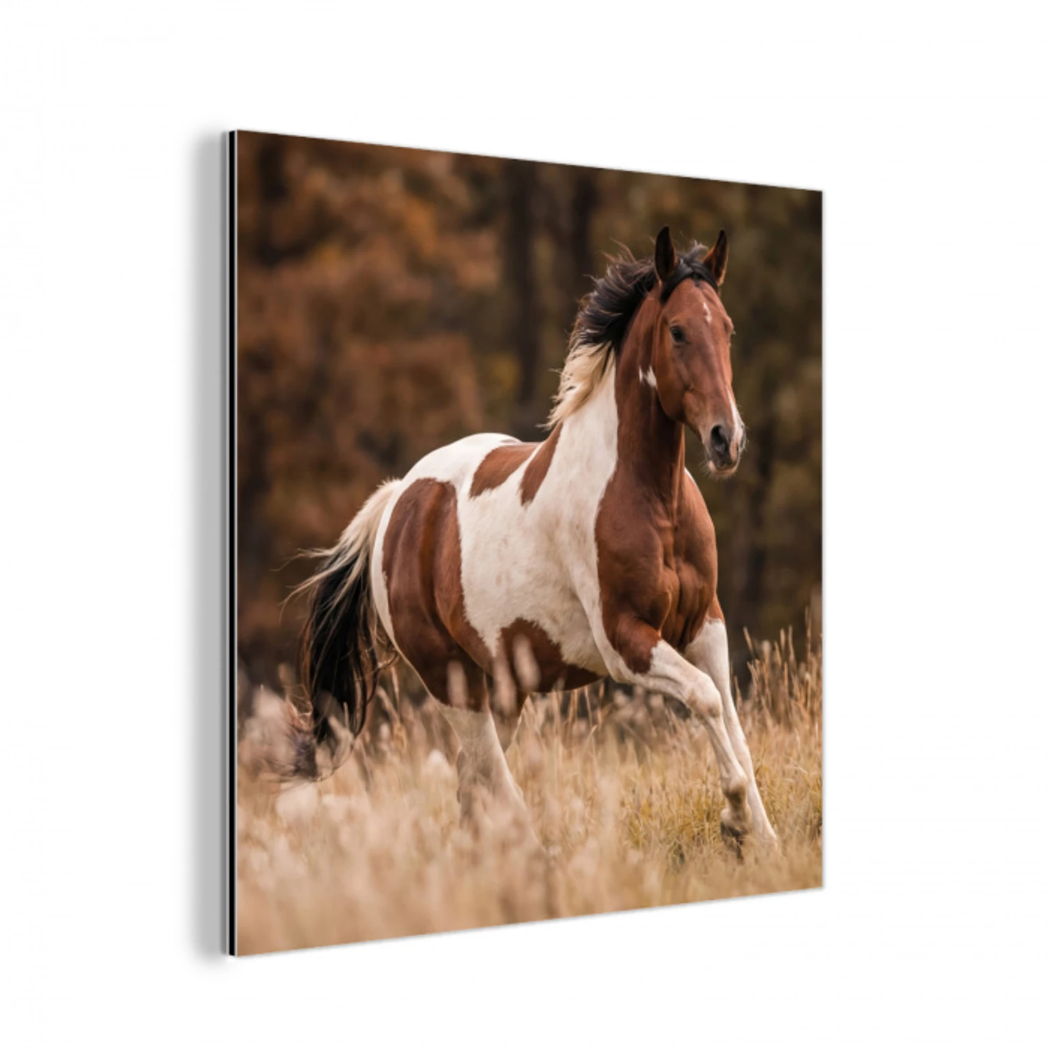 Paard - Bruin - Gras aluminium wit klein -3d