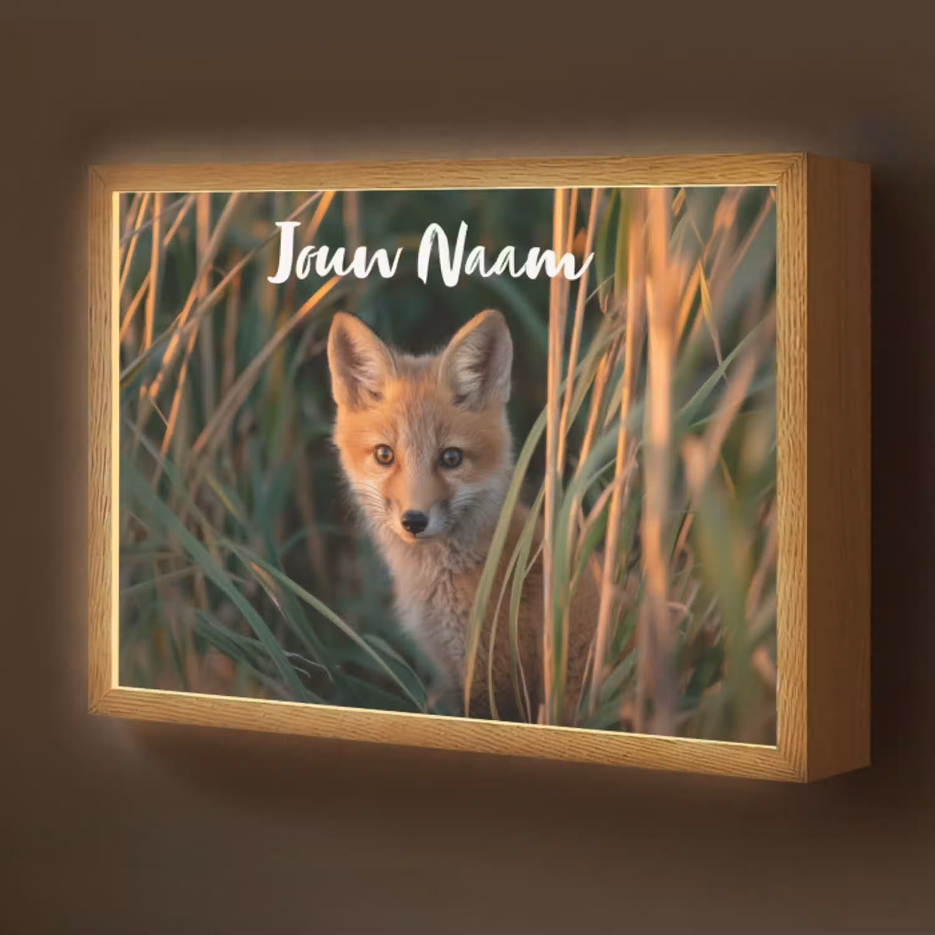 Vos - Oranje - Gras Light Box met batterij (Wandlamp kind) middel -z3d_website