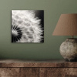 Paardenbloem - Zwart - Wit aluminium wit klein -sfeer2