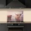 Schotse hooglanders - Licht - Lucht - Natuur keuken achterwand spatscherm klein -sfeer1