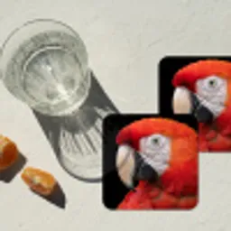 Ara - Portret - Rood onderzetter kurk middel -sfeer4