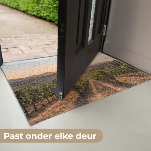 Wijngaard - Zonsondergang - Landschap Deurmat klein -USP_NL