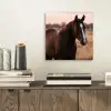 Paard - Zonsondergang - Bruin aluminium wit klein -sfeer1