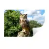 Uil - Boomstronk - Bos - Lucht Muursticker klein -3d