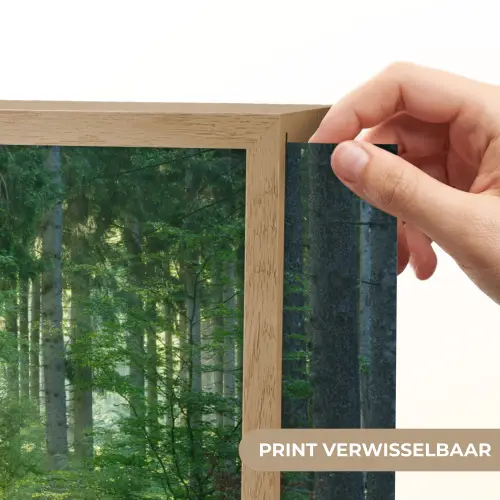 Natuur - Bomen - Bos - Groen - Zon - Gras - Planten Light Box met batterij (Wandlamp) middel -USP_websiteprintNL