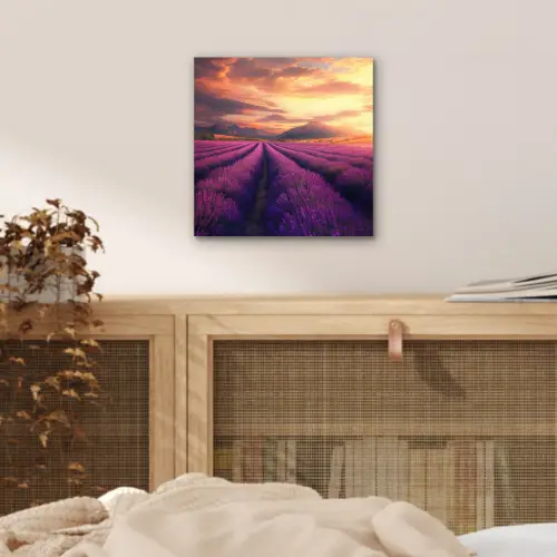 Lavendelveld - Zonsondergang - Paars aluminium wit klein -sfeer3