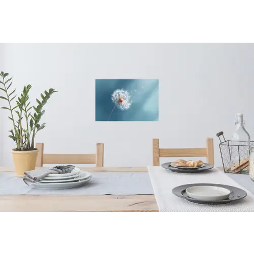 Paardenbloem - Wind - Blauw Muursticker klein -eettafel
