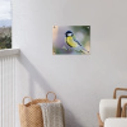 Koolmees op een Tak tuinposter los doek klein -sfeer8