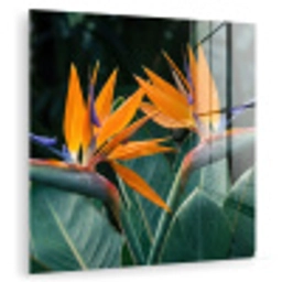 Paradijsvogel - Bloem - Exotisch plexiglas 5mm klein -zzzproduct_nieuw
