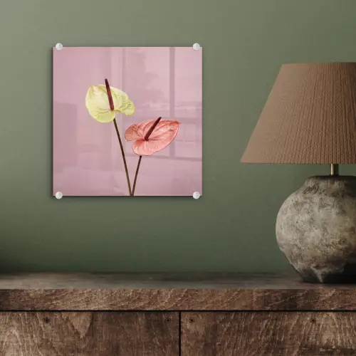 Bloemen - Anthuriums - Geel - Roze plexiglas 5mm klein -sfeer3