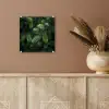 Sparrentakken - Knoppen - Naalden - Groen plexiglas 5mm klein -sfeer5