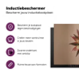 Droogbloem - Protea - Vintage - Beige - Rustiek Inductie beschermer vinyl 3mm klein -zzzzzzz-cc-usp