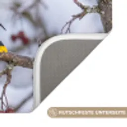 Pestvogel - Bessen - Winter - Natuur Badmat klein -USP_AntislipDE
