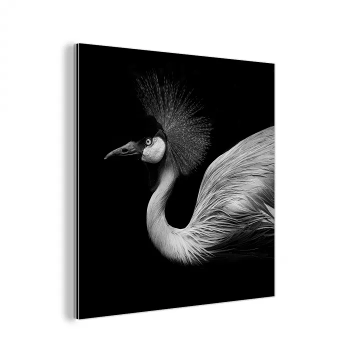 Kraanvogel - Zwart - Wit - Vogel - Dieren aluminium wit klein -3d