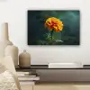 Bloemblaadjes - Afrikaan - Oranje - Wazig canvas 2cm klein -sfeer6