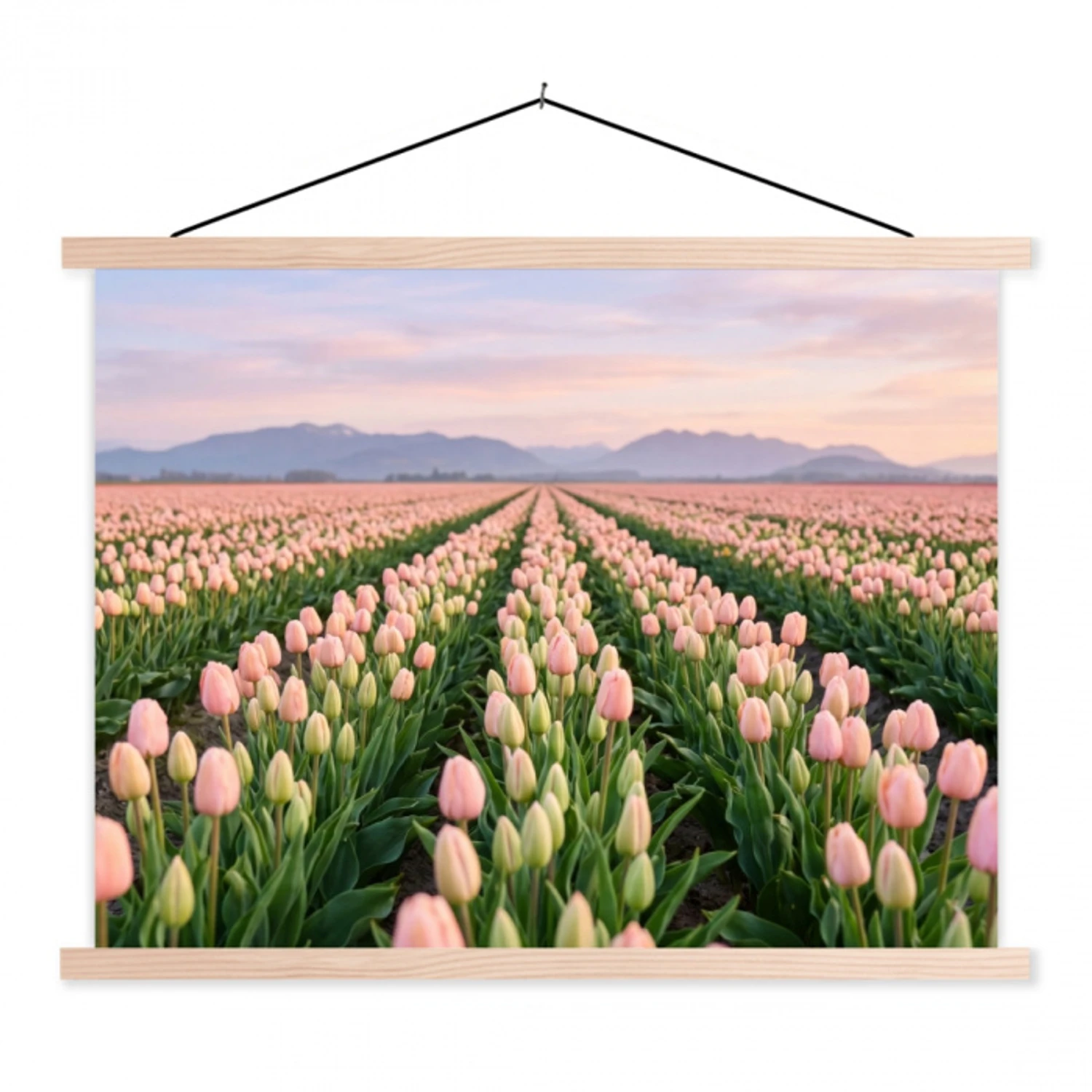 Tulpen - Landschap - Roze textielposter latten blank klein -3d