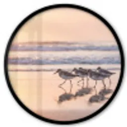 Zee - Vogels - Strand Fotolijst rond zonder passe partout klein -3d