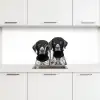 Honden - Bivakmuts - Zwart - wit keuken achterwand 2 middel -3d