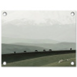 Grijs - Berg - Paarden tuinposter los doek klein -3d