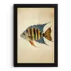 Vis - Tropisch - Strepen - Vinnen fotolijst zwart zonder passe partout klein -3d