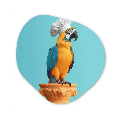 Papegaai - Koksmuts - Grappig - Vogel Wandcirkel Organisch Forex 3mm klein -3d