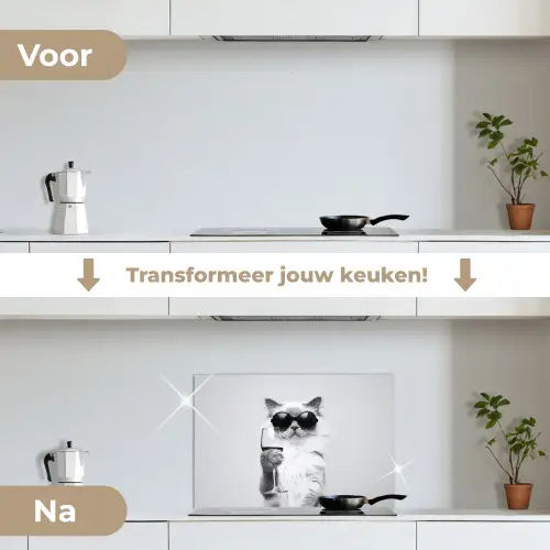Kat - Zonnebril - Wijnglas - Langharig keuken achterwand spatscherm klein -voor_na_NL