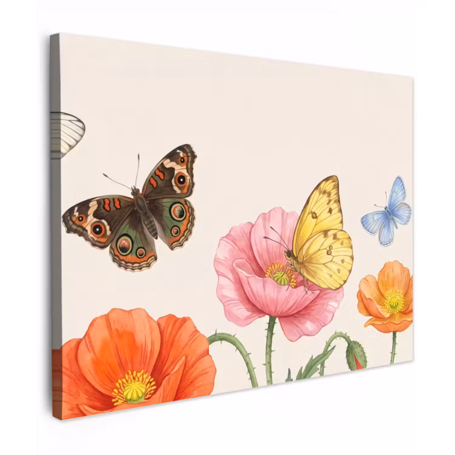 Canvas Print - Butterflies - Poppies - Illustration - Colorful