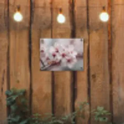 Bloesems - Meeldraden - Geel - Wazig tuinposter los doek klein -sfeer1