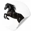 Zwart - Paard - Portret Wandcirkel behangsticker klein -3d
