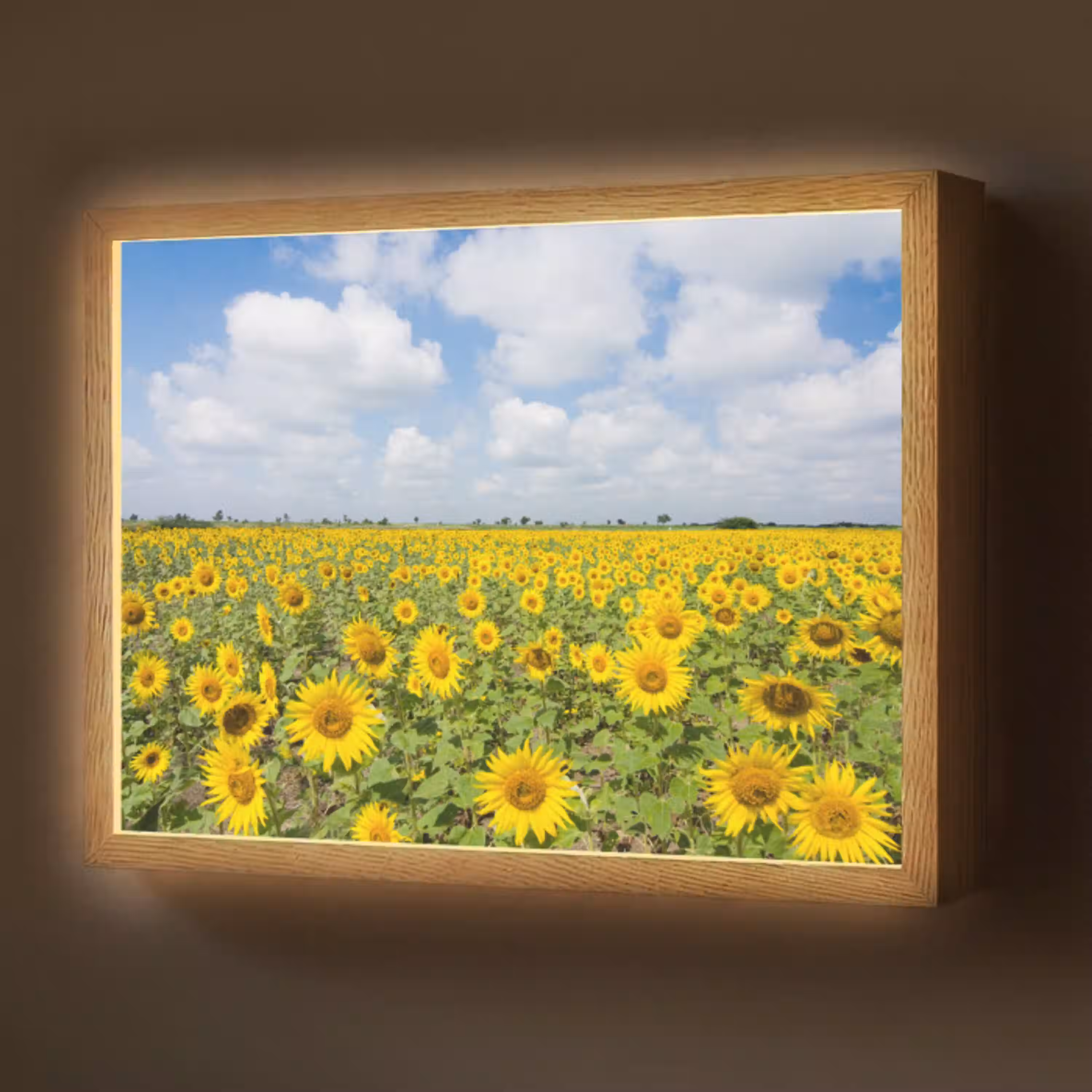 Zonnebloemen - Bloemen - Wolken - Natuur - Geel - Landschap Light Box met batterij (Wandlamp) middel -z3d_website