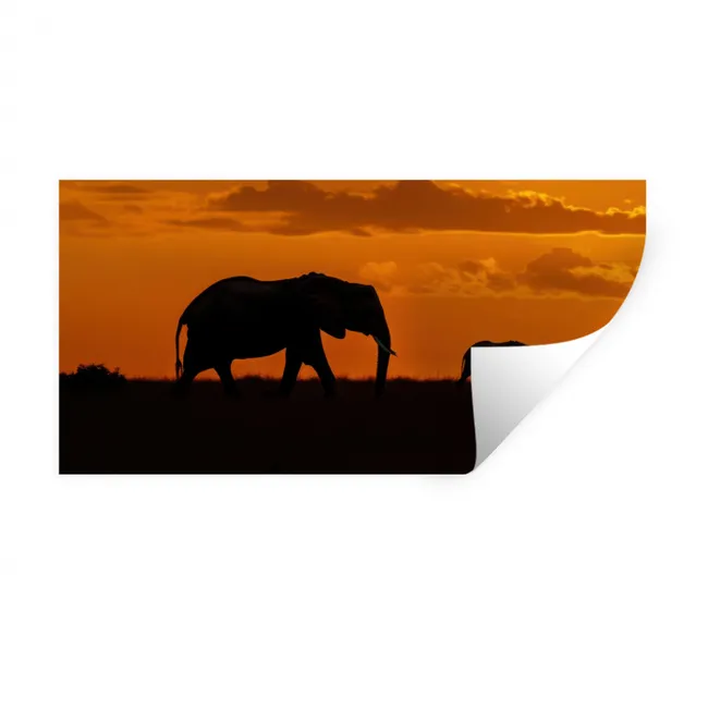 Olifanten - Savanne - Zonsondergang Muursticker klein -3d