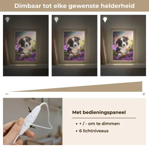 Puppy - Zon - Bloemen - Natuur - Bordercollie - Hond Light Box met kabel klein -USP_dimbaarNL