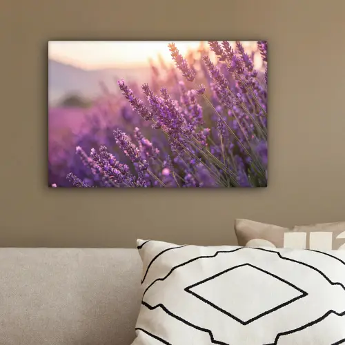 Lavendel - Paars - Zonlicht canvas 2cm klein -sfeer3